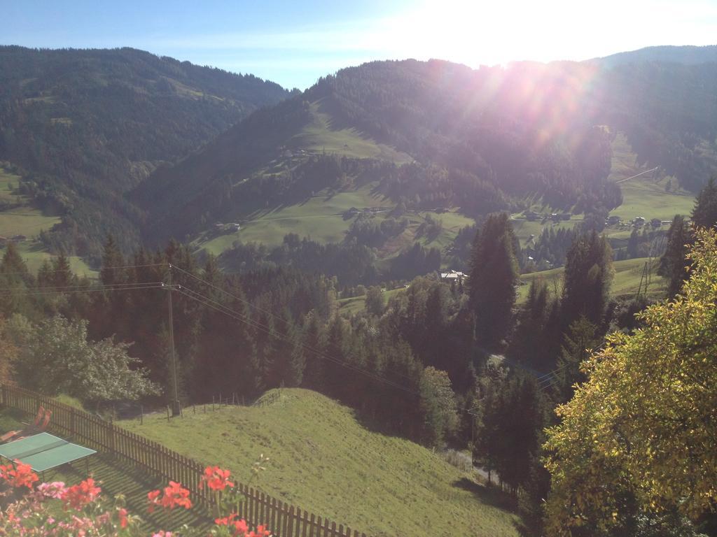 Bauernhof Bachgut Villa Muhlbach Am Hochkonig Bilik gambar