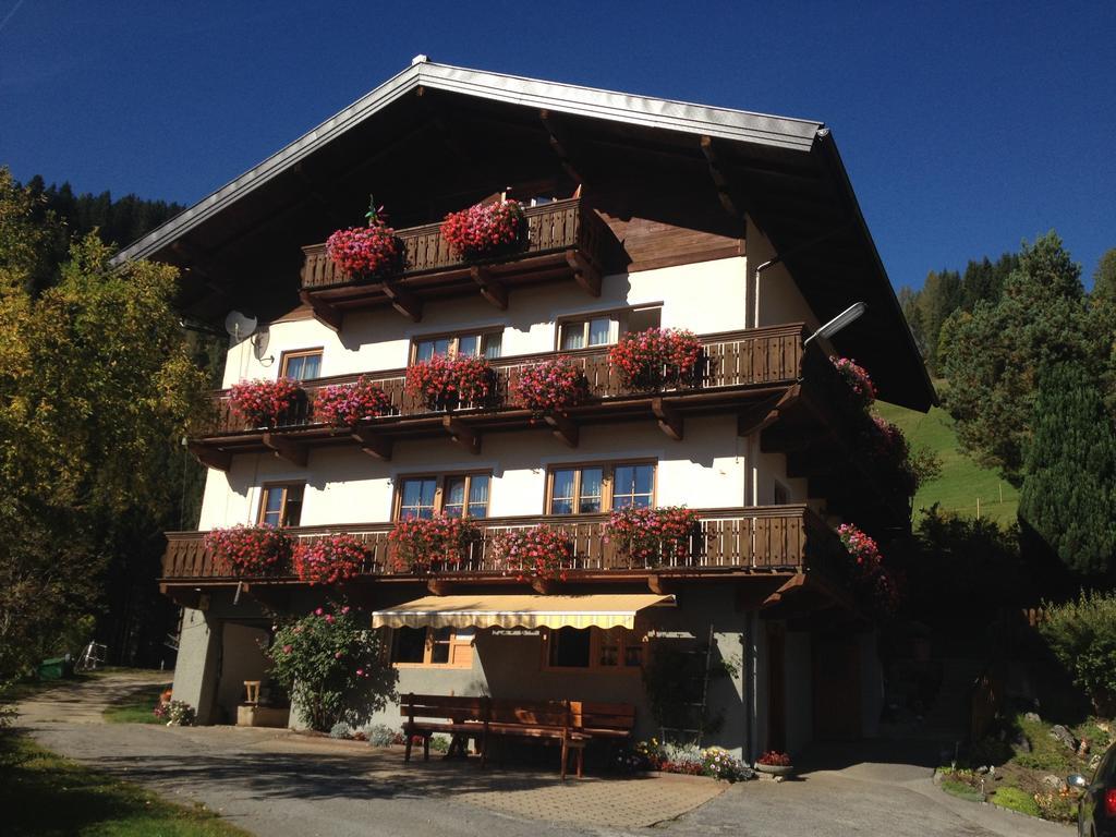 Bauernhof Bachgut Villa Muhlbach Am Hochkonig Luaran gambar
