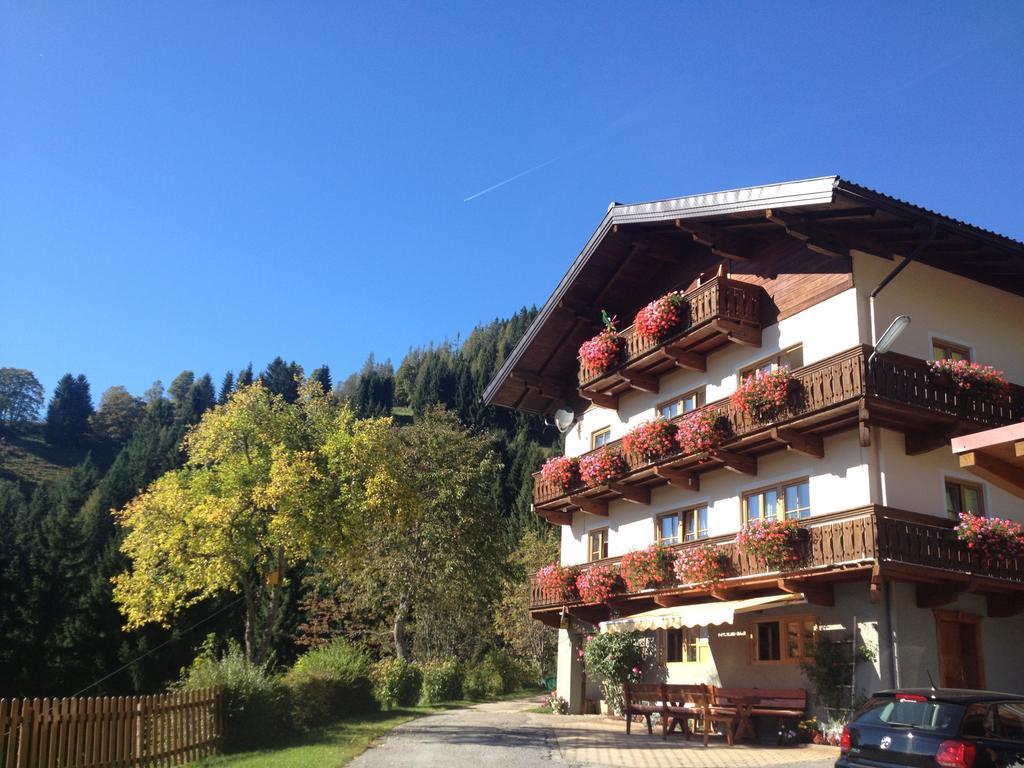 Bauernhof Bachgut Villa Muhlbach Am Hochkonig Luaran gambar